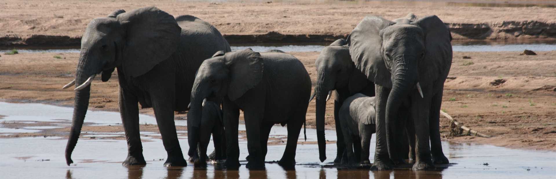 Ruaha National Park